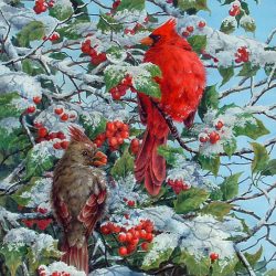Winter Cardinals - 23" x 17" watercolour